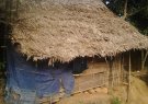 văn hóa