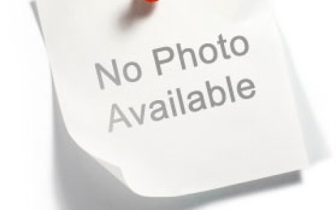Truyên truyền về  bệnh Dại chó, mèo